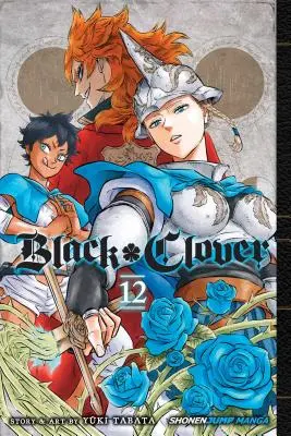Černý jetel, svazek 12, 12 - Black Clover, Vol. 12, 12