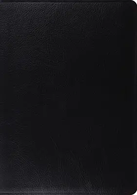 Studijní bible-ESV - Study Bible-ESV