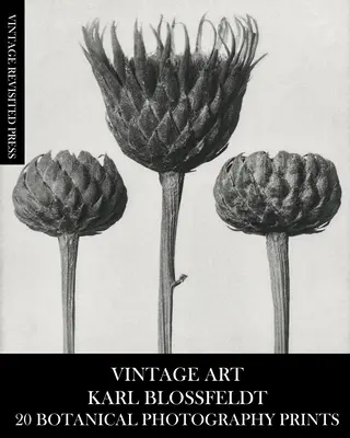 Vintage Art: Karl Blossfeldt 20 botanických fotografických tisků - Vintage Art: Karl Blossfeldt 20 Botanical Photography Prints