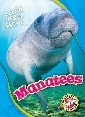 Kapustňáci - Manatees