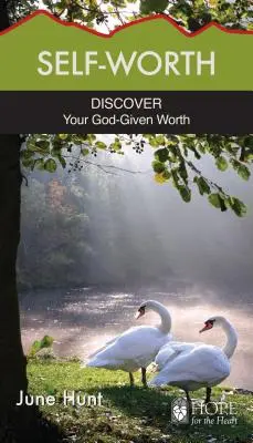Sebedůvěra: Objevte svou hodnotu, kterou vám dal Bůh - Self-Worth: Discover Your God-Given Worth