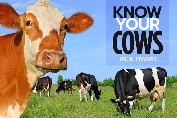 Poznejte své krávy - Know Your Cows