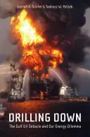 Drilling Down: The Gulf Oil Debacle and Our Energy Dilemma (Vrtání v Mexickém zálivu a naše energetické dilema) - Drilling Down: The Gulf Oil Debacle and Our Energy Dilemma