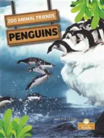 Tučňáci - Penguins