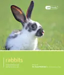Králík - Rabbit