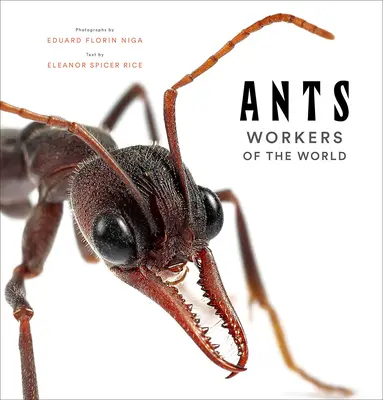 Mravenci: Dělníci světa - Ants: Workers of the World