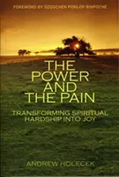 Síla a bolest: Proměna duchovního strádání v radost - The Power and the Pain: Transforming Spiritual Hardship Into Joy