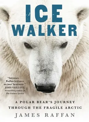 Ledový chodec: Cesta ledního medvěda křehkou arktickou oblastí - Ice Walker: A Polar Bear's Journey Through the Fragile Arctic