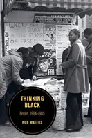 Myslet černě, 14: Británie, 1964-1985 - Thinking Black, 14: Britain, 1964-1985