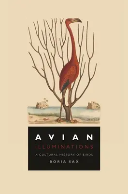 Ptačí iluminace: Kulturní dějiny ptáků - Avian Illuminations: A Cultural History of Birds