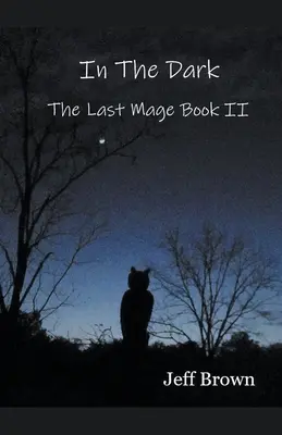 Ve tmě: Poslední mág Kniha II - In The Dark: The Last Mage Book II