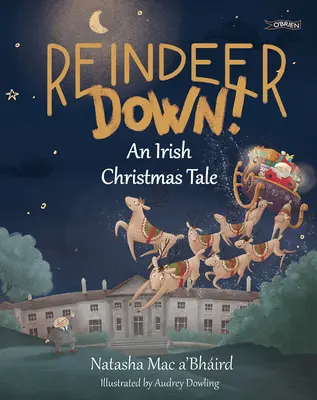 Reindeer Down!: Irský vánoční příběh - Reindeer Down!: An Irish Christmas Tale
