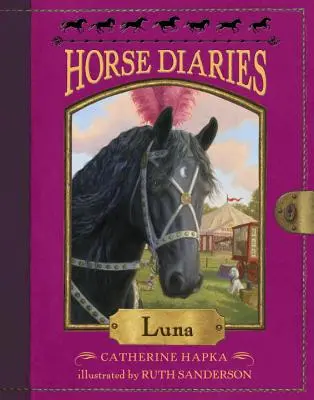 Koňské deníky #12: Luna - Horse Diaries #12: Luna