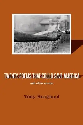 Dvacet básní, které by mohly zachránit Ameriku, a jiné eseje - Twenty Poems That Could Save America and Other Essays