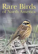 Vzácní ptáci Severní Ameriky - Rare Birds of North America