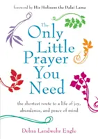Jediná malá modlitba, kterou potřebujete: Nejkratší cesta k životu plnému radosti, hojnosti a klidu v duši. - Only Little Prayer You Need: The Shortest Route to a Life of Joy, Abundance, and Peace of Mind