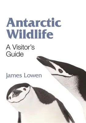 Antarktická divoká příroda: Průvodce pro návštěvníky - Antarctic Wildlife: A Visitor's Guide