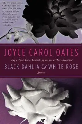 Černá jiřina a bílá růže - Black Dahlia & White Rose