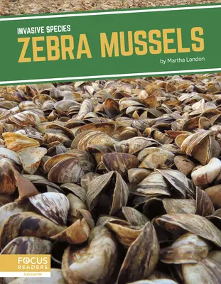 Mušle zebřička - Zebra Mussels