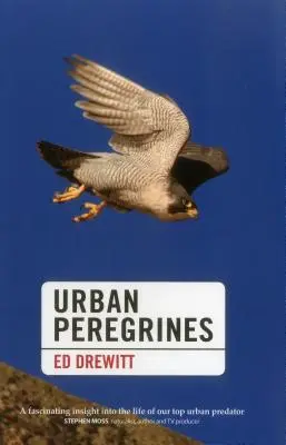 Městští sokoli stěhovaví - Urban Peregrines
