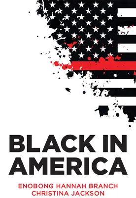 Černoši v Americe: Paradox barevné hranice - Black in America: The Paradox of the Color Line