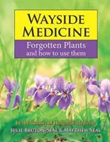 Medicína na cestách - Zapomenuté rostliny a jejich využití - Wayside Medicine - Forgotten Plants and how to use them