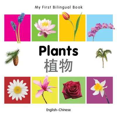 Moje první dvojjazyčná kniha-Rostliny (anglicko-čínsky) - My First Bilingual Book-Plants (English-Chinese)
