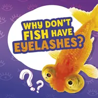 Proč nemají ryby řasy? - Why Don't Fish Have Eyelashes?