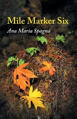 Šestý milník - Mile Marker Six