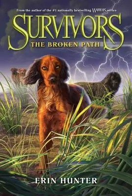 Survivors #4: The Broken Path (Přeživší) - Survivors #4: The Broken Path