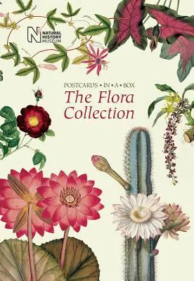 Sbírka flóry: Pohlednice v krabici - The Flora Collection: Postcards in a Box