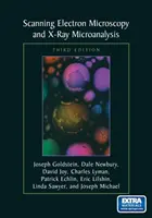 Skenovací elektronová mikroskopie a rentgenová mikroanalýza: Třetí vydání - Scanning Electron Microscopy and X-Ray Microanalysis: Third Edition