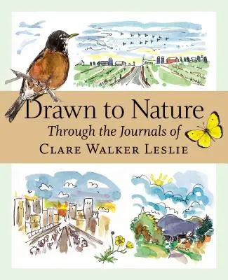 Přitahován přírodou: Leslie: Přitaženi přírodou: deníky Clare Walker Leslieové - Drawn to Nature: Through the Journals of Clare Walker Leslie