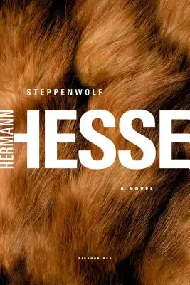 Stepní vlk - Steppenwolf