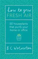 Jak pěstovat čerstvý vzduch - 50 pokojových rostlin, které pročistí váš domov nebo kancelář - How To Grow Fresh Air - 50 Houseplants To Purify Your Home Or Office