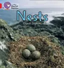 Hnízda - Nests