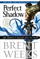 Dokonalý stín - Novela o nočním andělovi - Perfect Shadow - A Night Angel Novella