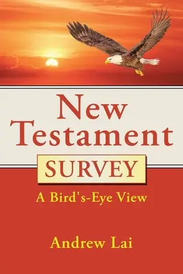Přehled Nového zákona: Pohled z ptačí perspektivy - New Testament Survey: A Bird's-Eye View