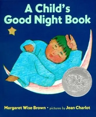 Dětská knížka na dobrou noc Board Book - A Child's Good Night Book Board Book