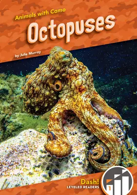 Chobotnice - Octopuses