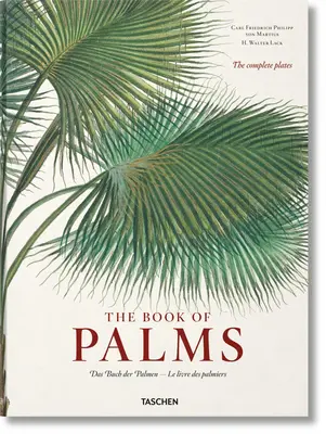 Martius. kniha palem - Martius. the Book of Palms