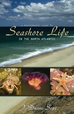 Fotografický průvodce životem na pobřeží severního Atlantiku: Od Kanady po Cape Cod - A Photographic Guide to Seashore Life in the North Atlantic: Canada to Cape Cod