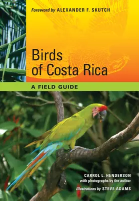 Ptáci Kostariky: Průvodce po Kostarice: Terénní průvodce - Birds of Costa Rica: A Field Guide