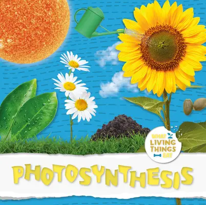 Fotosyntéza - Photosynthesis
