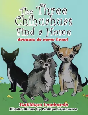 Tři čivavy našly domov - The Three Chihuahuas Find a Home