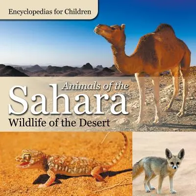 Zvířata Sahary Živočichové pouště Encyklopedie pro děti - Animals of the Sahara Wildlife of the Desert Encyclopedias for Children