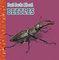 Rychlá fakta o broucích - Fast Facts About Beetles