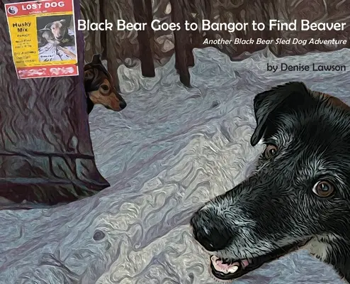 Černý medvěd jde do Bangoru hledat bobra - Black Bear Goes to Bangor to Find Beaver