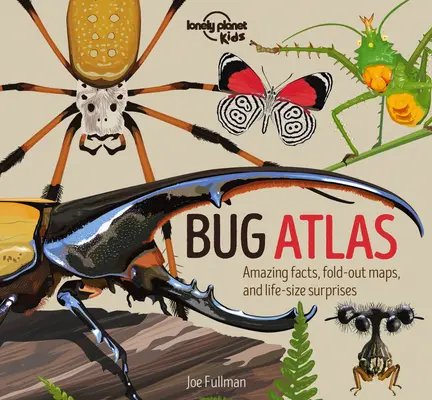 Atlas brouků 1 - Bug Atlas 1
