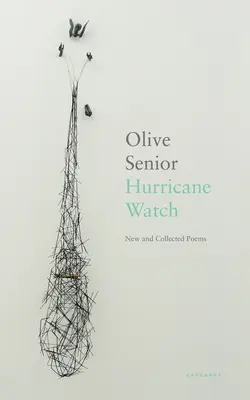Hlídka před hurikánem - Nové a sebrané básně - Hurricane Watch - New and Collected Poems